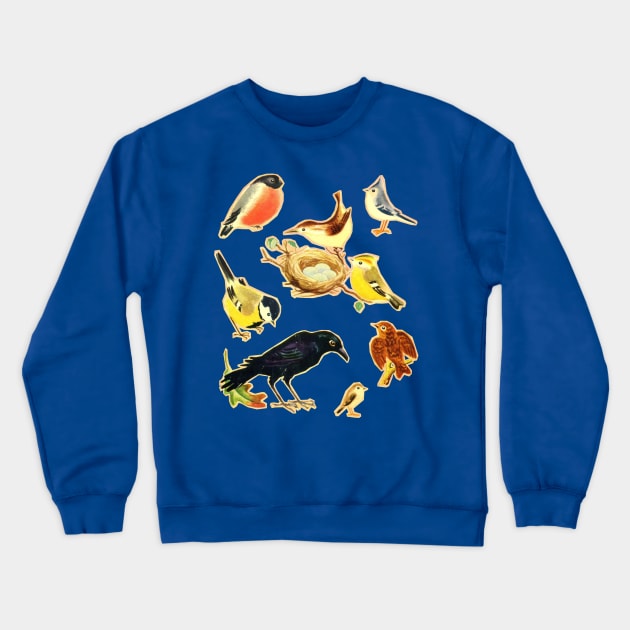 Vintage Styled Birds Illustration Design Crewneck Sweatshirt by DankFutura